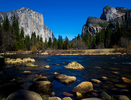 Picture of Yosemite National Park Tour