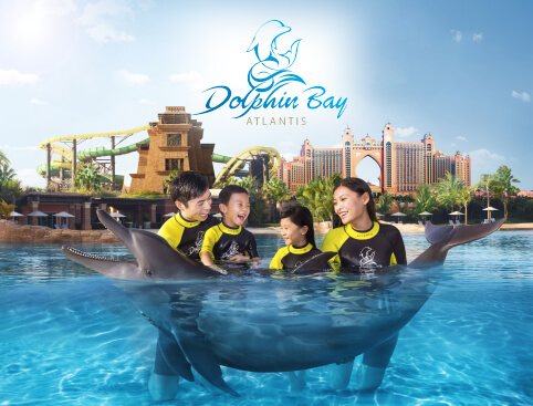 Picture of Swimming With Dolphins at Atlantis The Palm Dubai