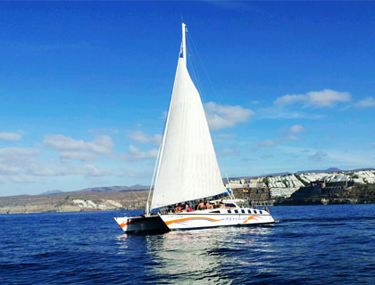 Picture of Catamaran Afrikat