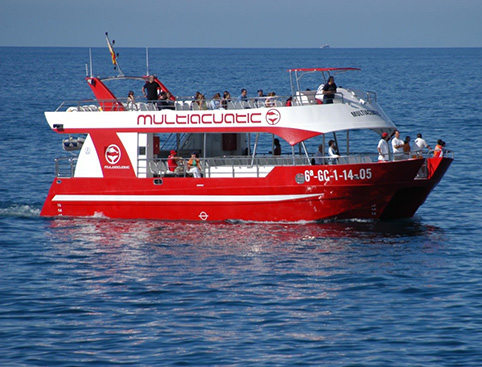 Picture of Catamaran MultiAquatic