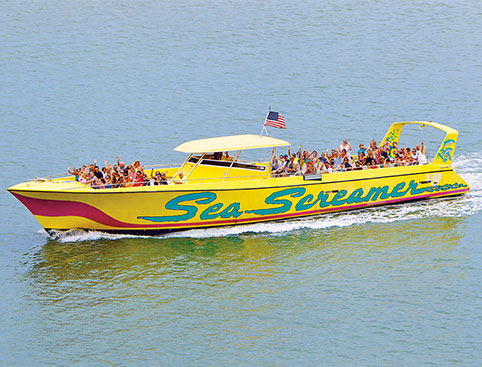 Picture of Clearwater Beach and Sea Screamer