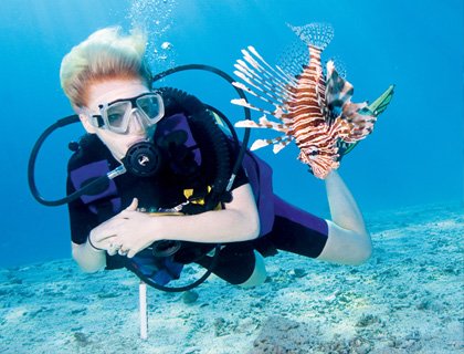 Picture of Ocean College - Scuba Diving In Sharm El Sheikh