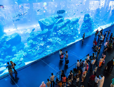 Picture of Dubai Aquarium