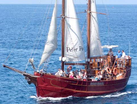 pan peter ship tenerife sailing pirate attractiontix checkout connection secure process use