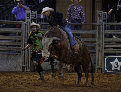 Picture of Real Ranch Rodeo
