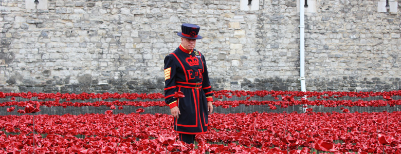 Tower of London poppies Yeoman