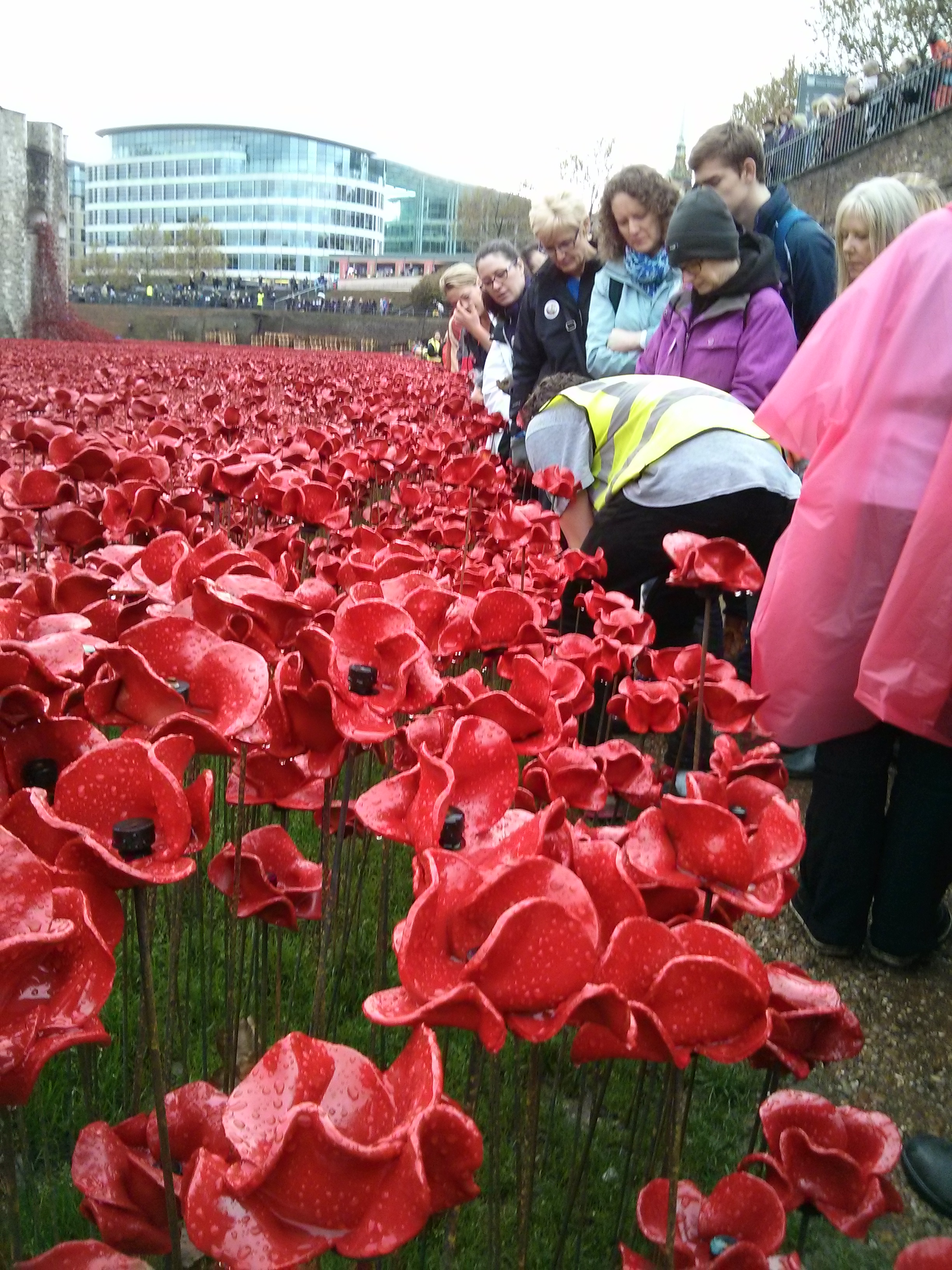 Tower poppies volunteer briefing (2)