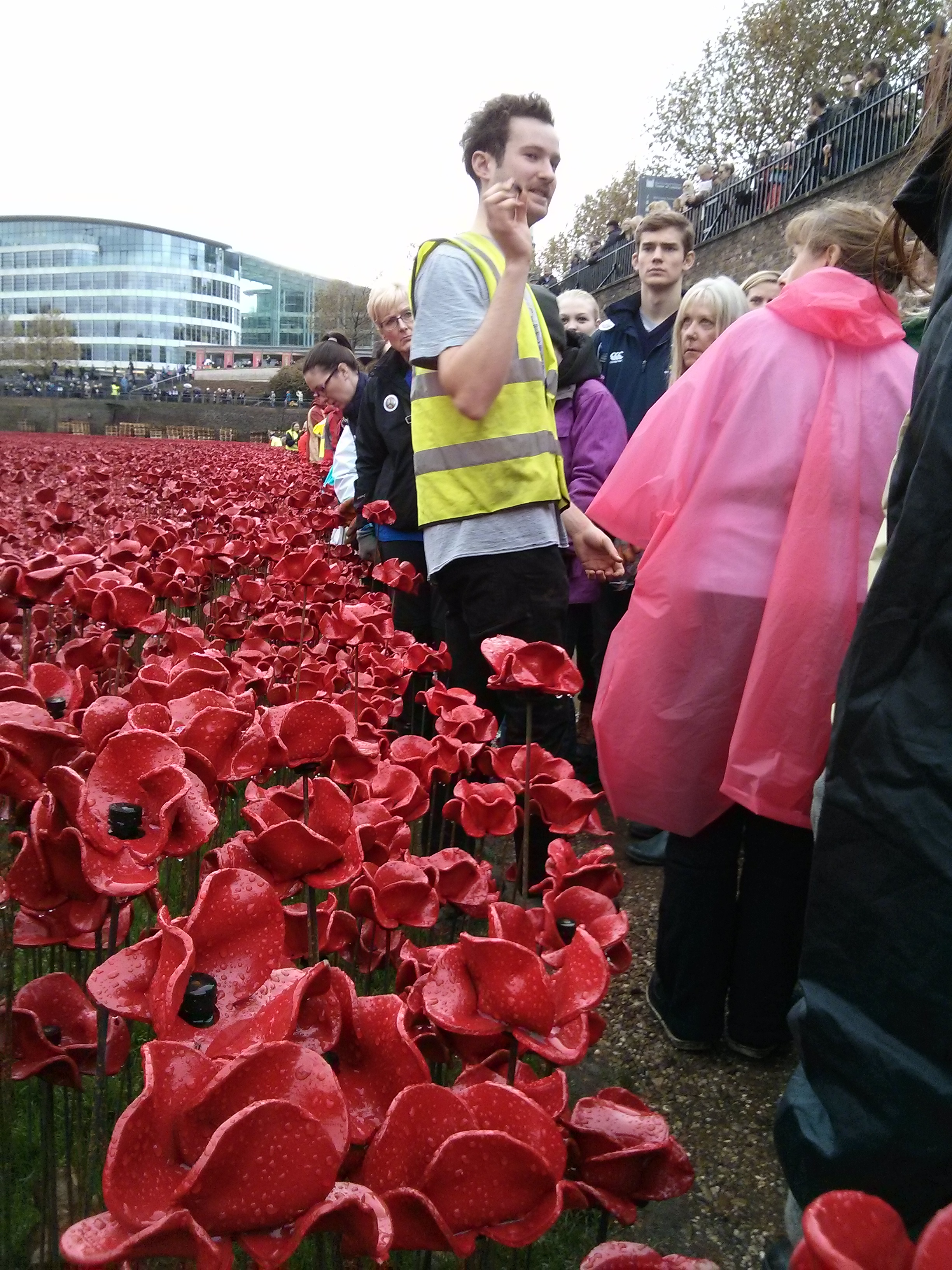 Tower poppies volunteer briefing
