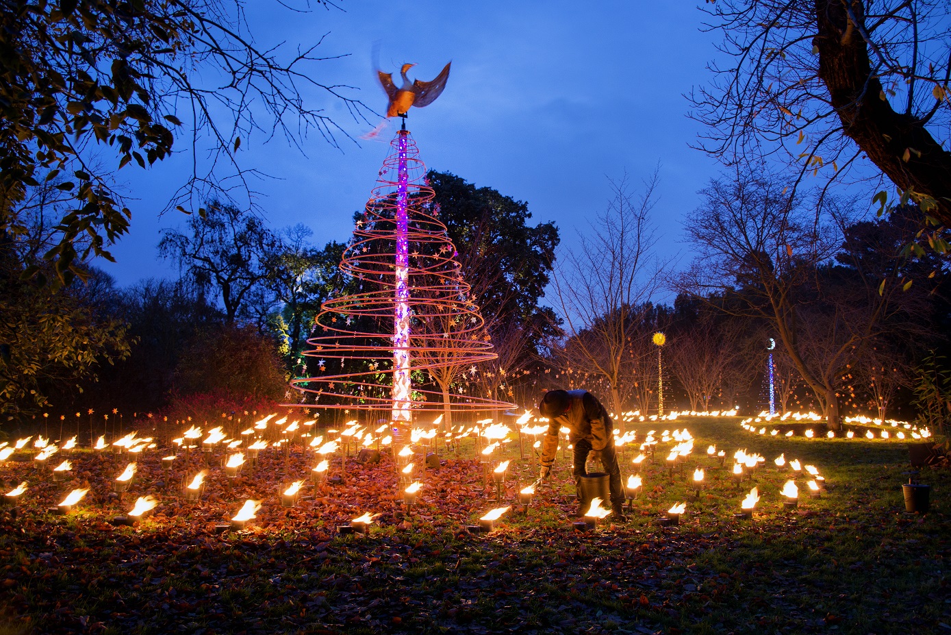 Kew Gardens at Christmas