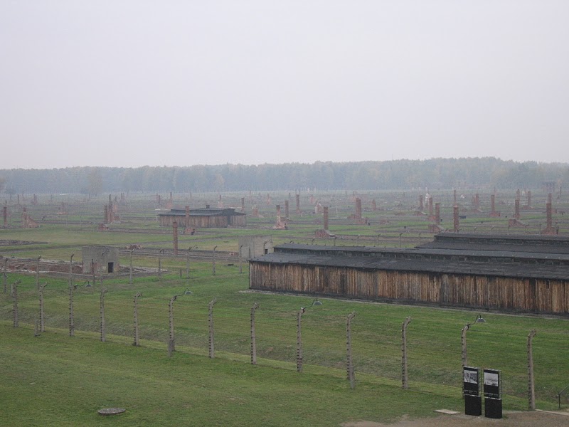 Auschwitz Fields