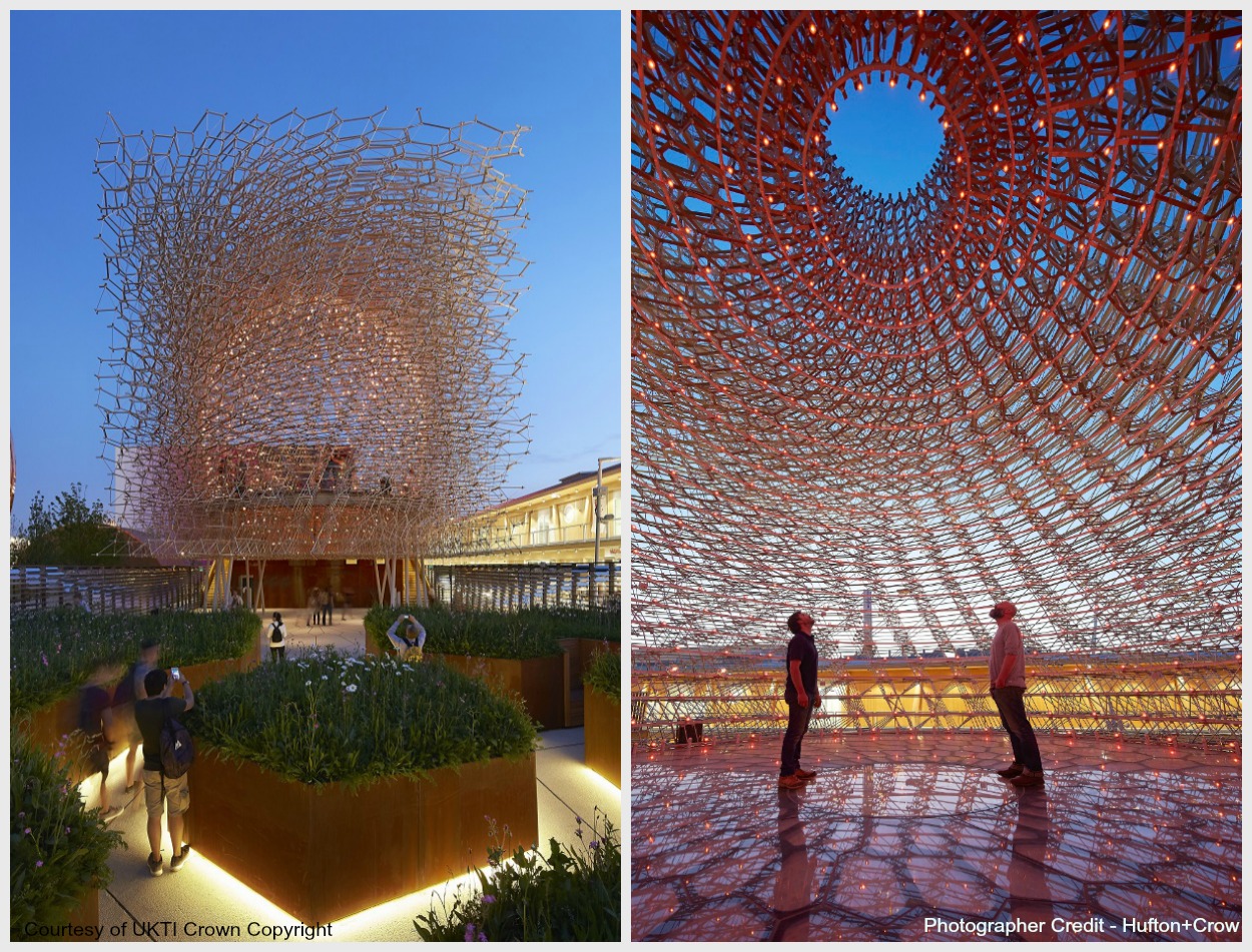 The Hive: Coming to Kew Gardens June 2016