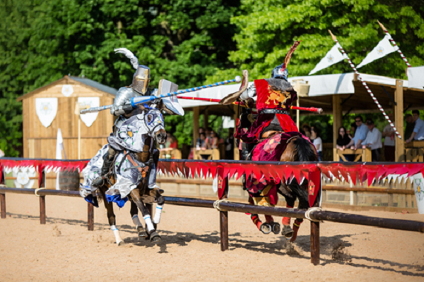 Jousting Horses- War of the roses live at Warwick Castle