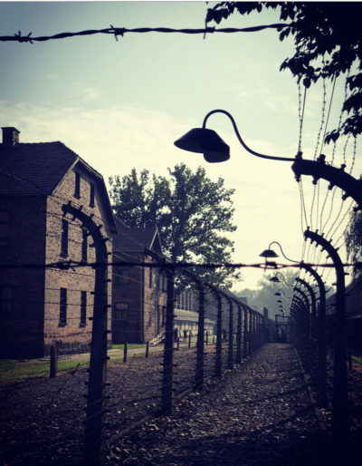 The barracks where prisoners lived in Auschwitz, surrounded by barbed wire