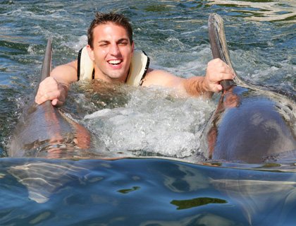 Miami Swim With Dolphins Incl. Transport