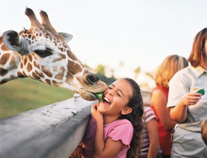 Serengeti Safari Tour - Girl With Giraffe