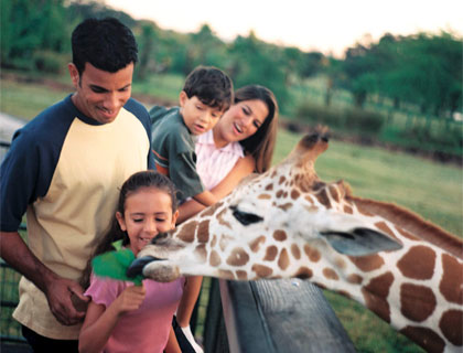 Serengeti Safari Tour - Family feeding Giraffe