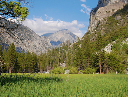 Yosemite-National-Park-Tour2.jpg