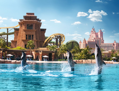 Swimming With Dolphins at Atlantis The Palm 