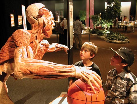 Body Worlds - Skip the Line Admission