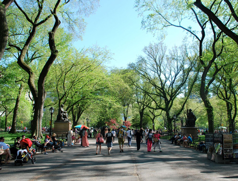Central Park Walking Tour