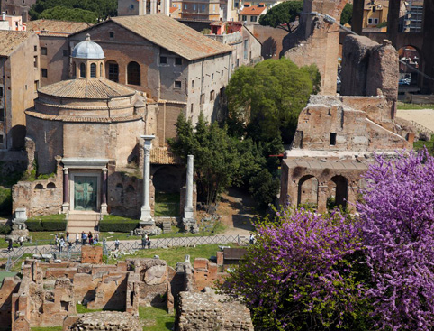 Colosseum Tour inc. Roman Forum & Palatine Hill