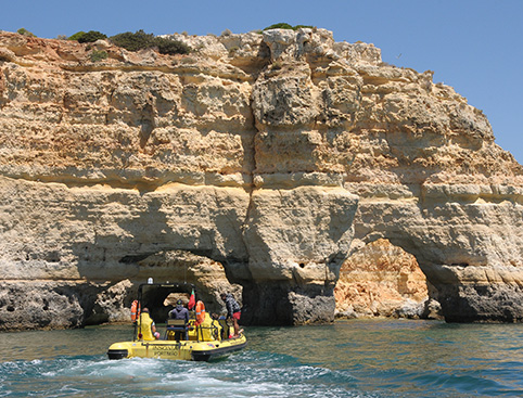 Dolphin Watching in the Algarve