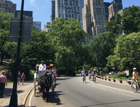 Horse & Carriage Ride in Central Park
