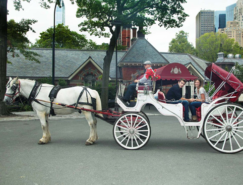 Horse & Carriage Ride in Central Park
