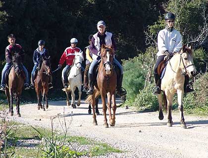 Horse Riding from Bodrum