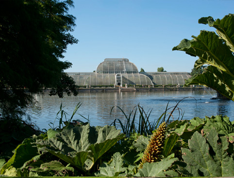 Kew Gardens & Palace Tickets