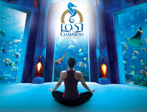 Lost Chambers Aquarium at Atlantis The Palm
