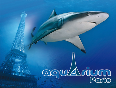 Paris Aquarium