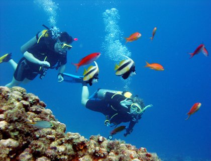 Scuba Diving from Fethiye