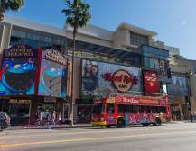City Sightseeing Hollywood - Hop on Hop off
