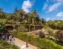 Park Guell Guided Tour 