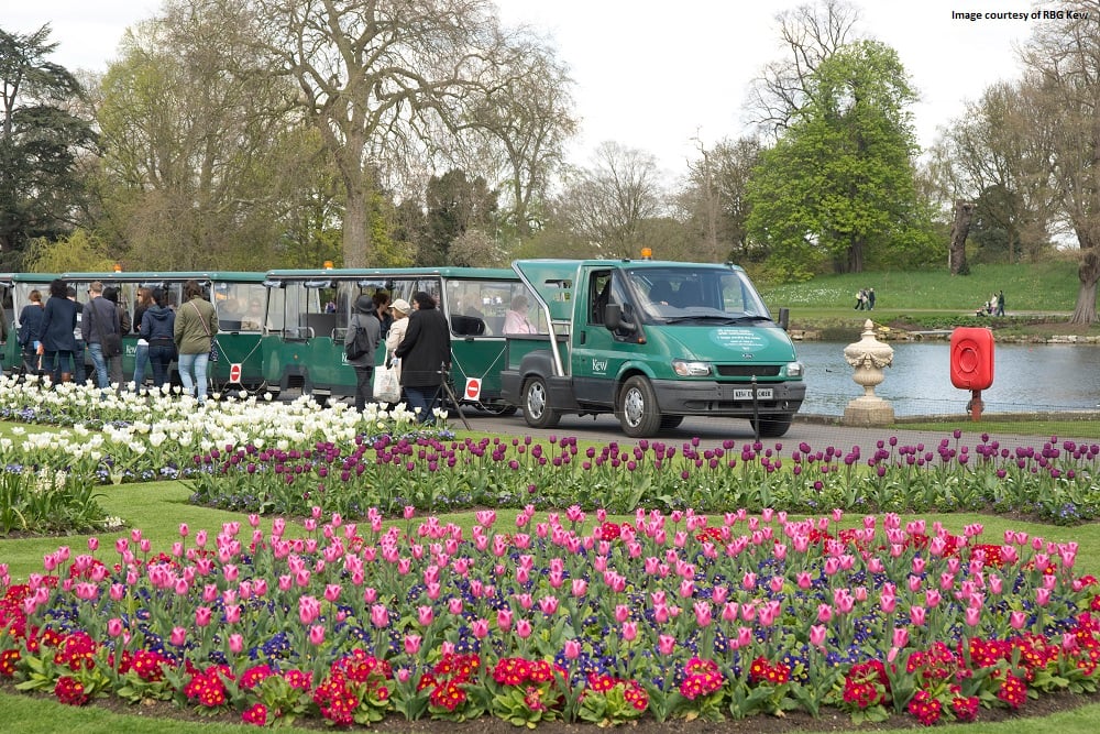 Kew explorer