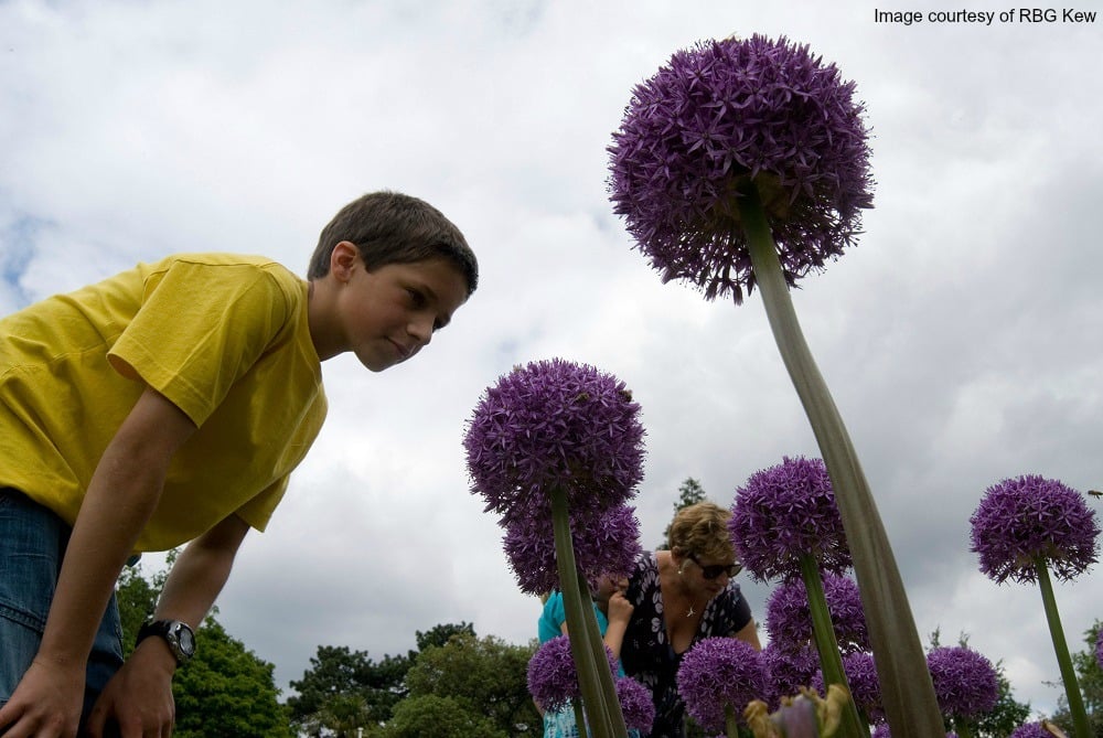 kids at kew gardens