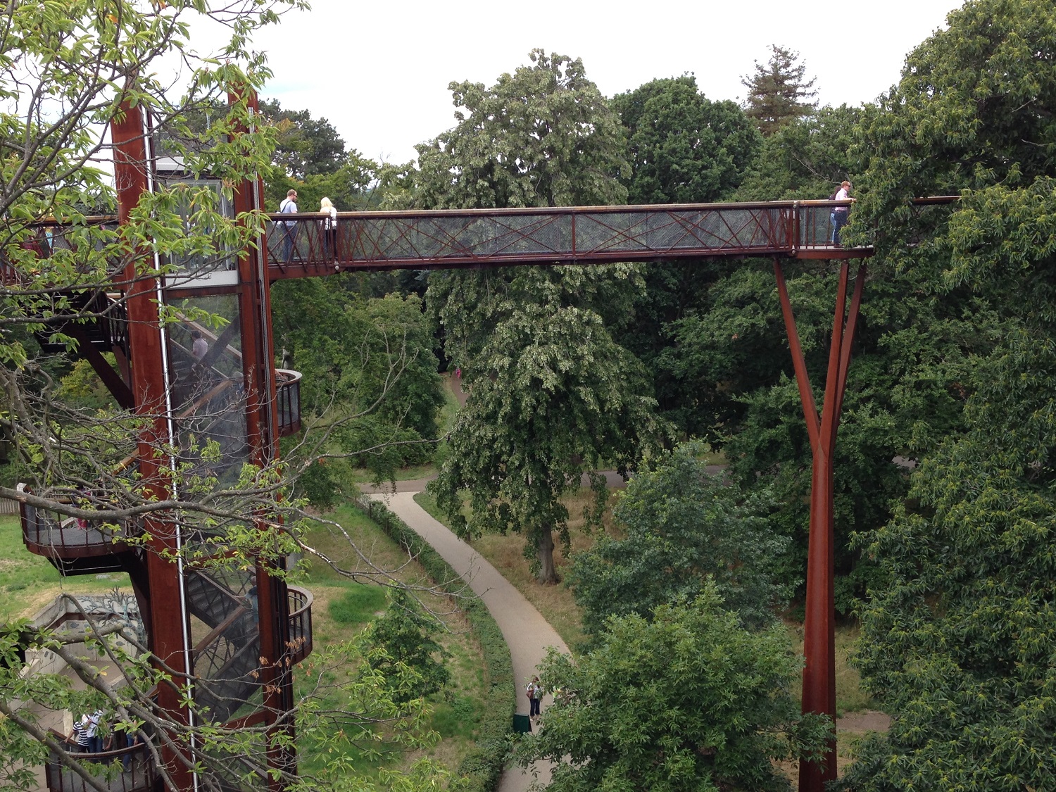 treetop walk at kew gardens