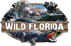 Wild Florida
