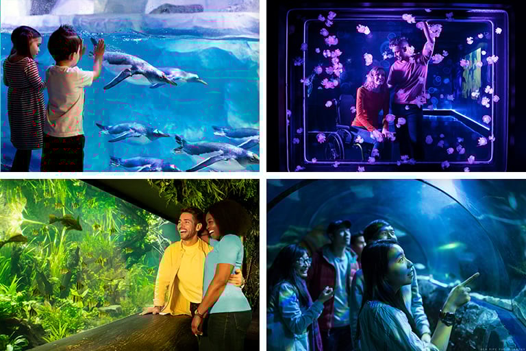SEA LIFE London Aquarium