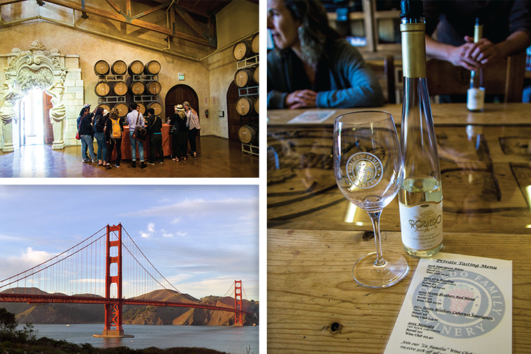 City & Wine Tour