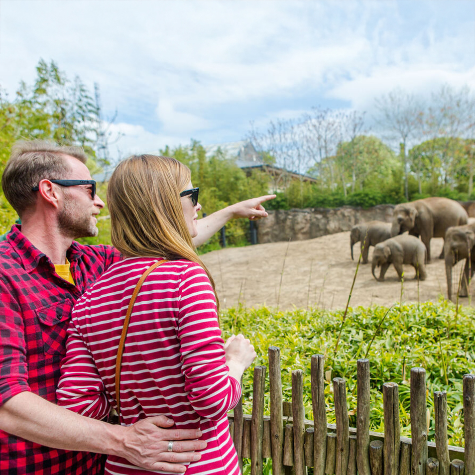 Dublin Zoo - Go City Dublin Pass used for discovering popular Dublin experiences, cultural highlights, and major sightseeing spots.
